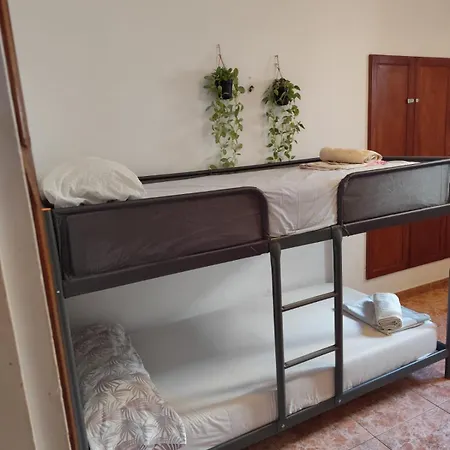 Banana Surf House Guest house Los Cristianos (Tenerife)